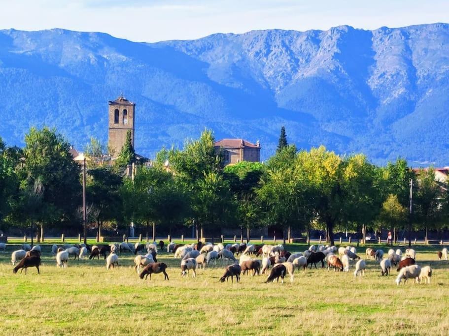 El Escondite De Molina. Valle Del Tietar. La Iglesuela Exteriér fotografie